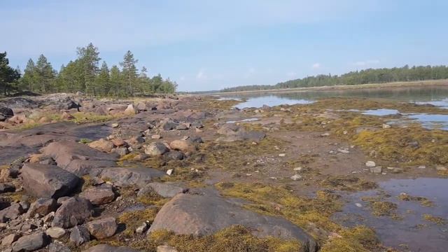 История поездки в Карелию смотреть онлайн