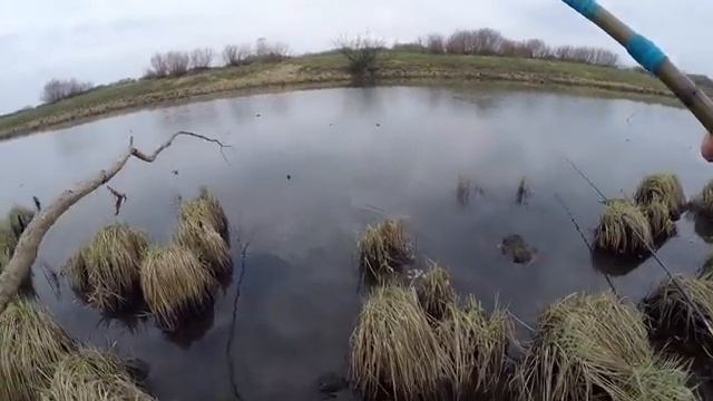 ОТКУДА в этой ЛУЖЕ столько КРУПНОГО КАРАСЯ! Рыбалка на поплавок смотреть онлайн