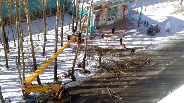 Обрезка тополей на Динасе смотреть онлайн
