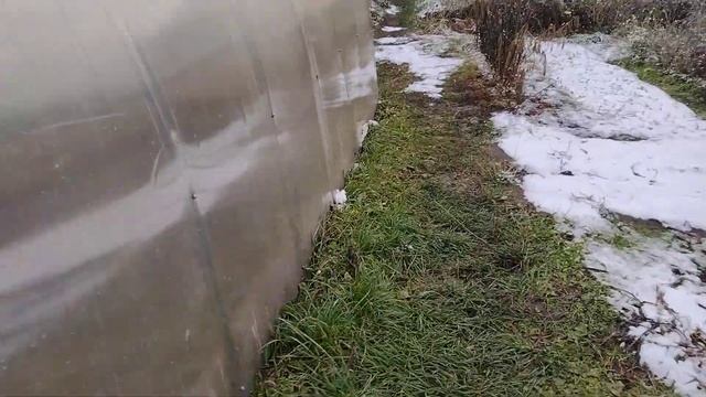 Гуси, куры, утки. Что нового на птичьем дворе? смотреть онлайн