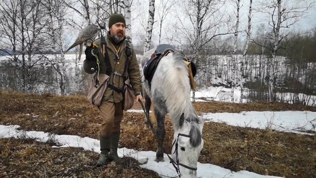 Азбука Соколиной Охоты. Свистки смотреть онлайн