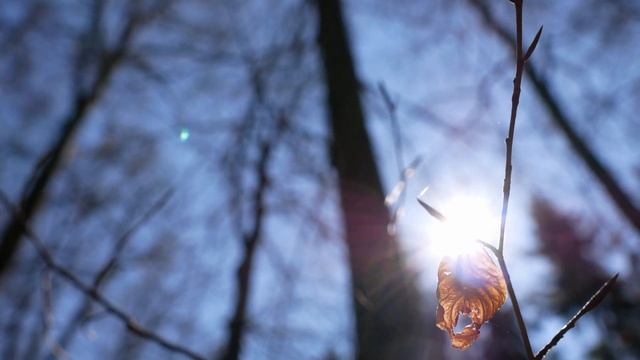 ?ВИНДОВС 9 [ОБЗОР ГОВНОСБОРКИ]? смотреть онлайн