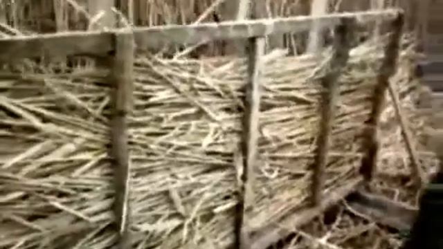 Камышовые плиты в полевых условиях смотреть онлайн