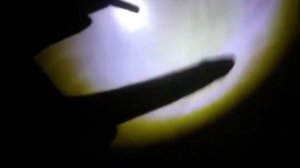 Шоу теней | Заклинатель змей