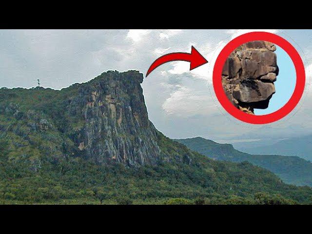 Ученые: 