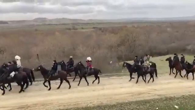 Карачаевский конный переход 2 день Лаба Красный Курган (Конный завод)/Часть 6/ смотреть онлайн