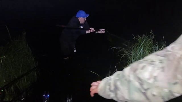 поклёвка белого амура 5кг