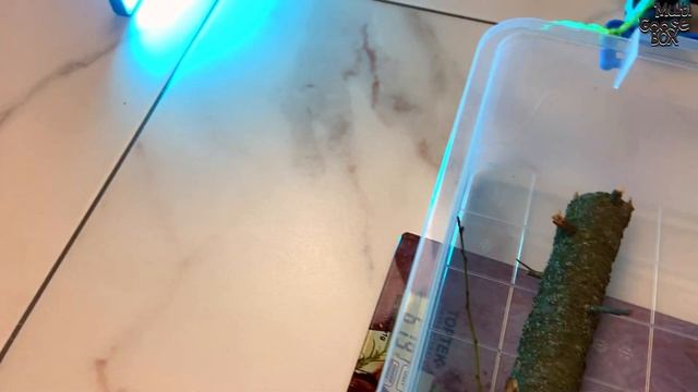 КАКОЙ ВЕС ПОТЯНЕТ внедорожник ? Или сколько ГУСИНЫХ СИЛ у ROCK CRAWLER? Гусь Николай и эксперимент. смотреть онлайн