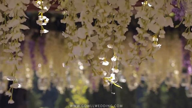 Goodwill Wedding. Отзыв об организации свадьбы Рустама и Серафимы. "Свадьба Мечтателей", 9 aug 2015 смотреть онлайн