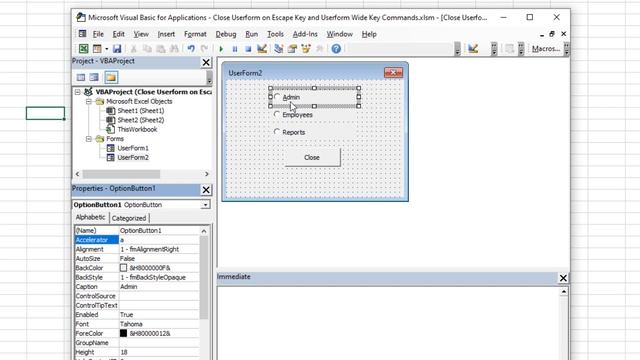 Excel Userform - Custom Keyboard Shortcuts For Buttons, Options, Checkboxes Etc Use Accelerator Key смотреть онлайн