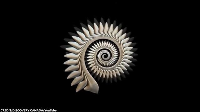 20 Impossible Fossils That Could Completely Rewrite Human History смотреть онлайн