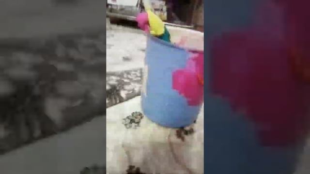 Банка их пластилина