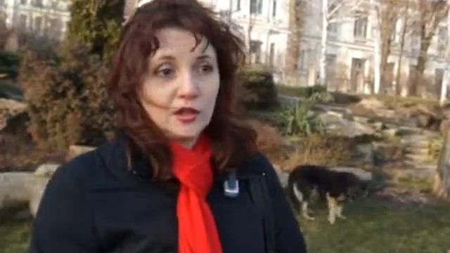 Зоозащитники забили тревогу