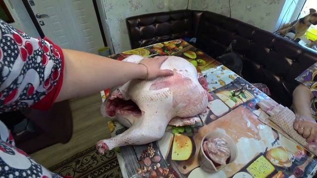 Индюк 20 кг. Ефим получил диплом. Каникулы. Покраска дисков на колесах. Жарим отбивные. Цифры до 10