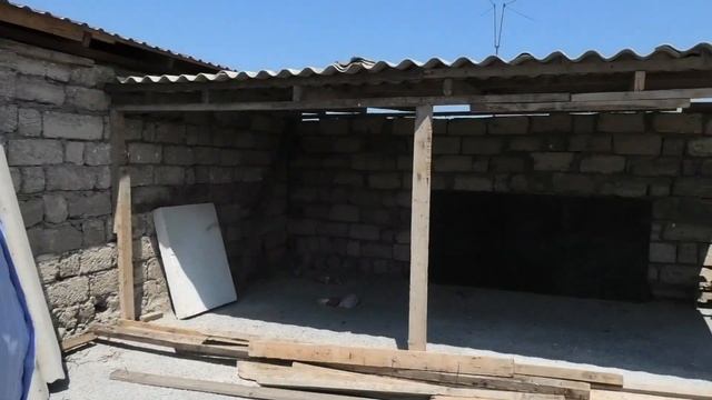 Бакинские голуби Алиева Октая в Баку! (Бина) смотреть онлайн