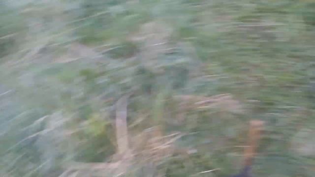 УСТАНОВКА СТОЛБОВ ПОД ЗАБОР ИЗ РАБИЦЫ, БЕТОНИРОВАНИЕ. СТРОЙКА НА ДАЧНОМ УЧАСТКЕ, ПОСАДКА РАССАДЫ. смотреть онлайн