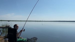 Матчевая ловля карпа.