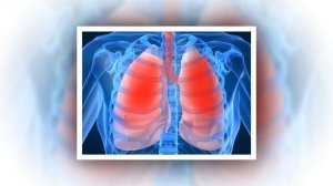 Строение тела человека. Презентация для детей. Окружающий мир.