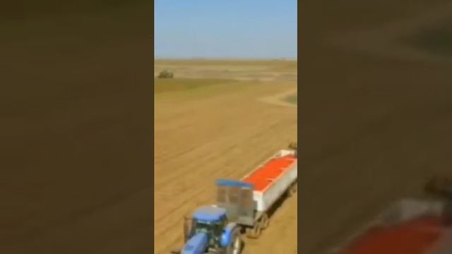 Этапы создания томатной продукции "Кухмастер" смотреть онлайн