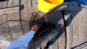 Как собрать и забросить Кастинговую сеть.Урок по забросу кастинговой сети.Кидаем сеть одной рукой.