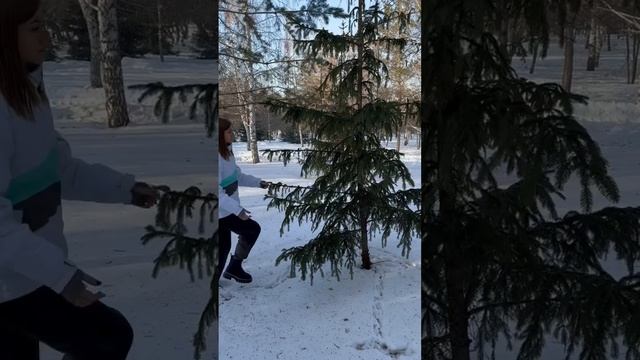 Как сделать так, чтобы дома была своя елка? смотреть онлайн