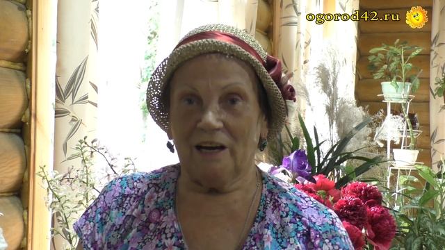 Советы по уходу за пионами. Редкие, потрясающе красивые пионы: ИТО, американские, японские смотреть онлайн