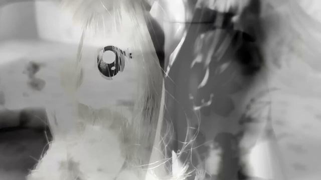 MV:звонки-слёзы шипы-розы смотреть онлайн