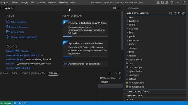 Instalação Alpine no Laravel ViteJs laravel tutorial смотреть онлайн