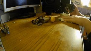 Разборка/Сборка/ карбюратора к 2401. Стоит ли его ставить на минск?