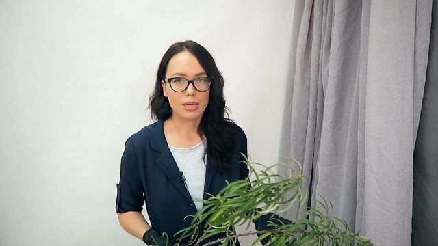 Букет из роз // Новый вид зелени смотреть онлайн