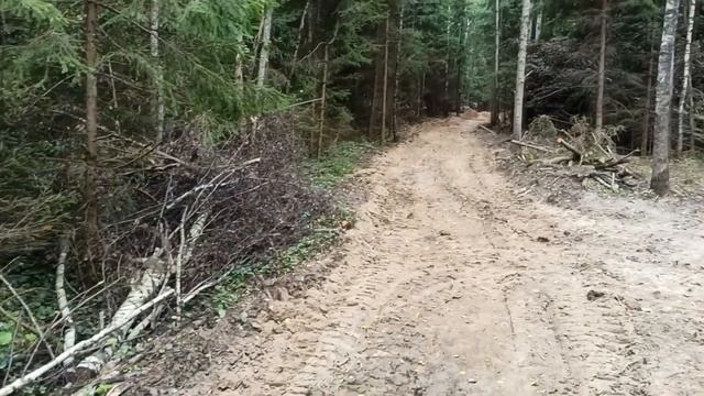 РЕЙД ПО НЕЗАКОННОЙ ВЫРУБКЕ ЛЕСА смотреть онлайн