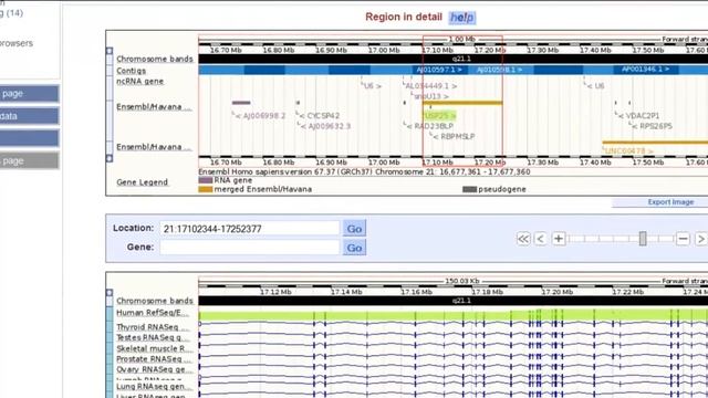 Browsing RNA-Seq Data in Ensembl смотреть онлайн