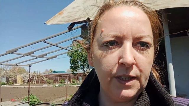 посадили картошку/развлечения прошлого века?/сезон 2022/дача весной смотреть онлайн