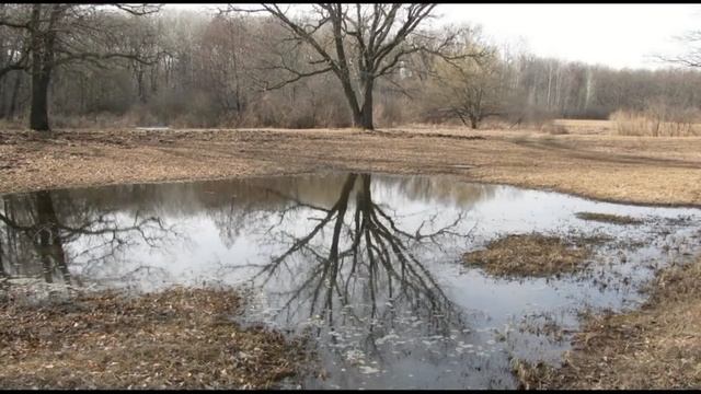 Грик Э. "Весна". Из цикла 12 песен. смотреть онлайн