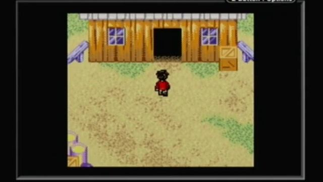 Harry Potter and the Chamber of Secrets (GBC) Playthrough Part 1 смотреть онлайн