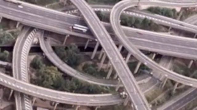 Вишня белая смотреть онлайн