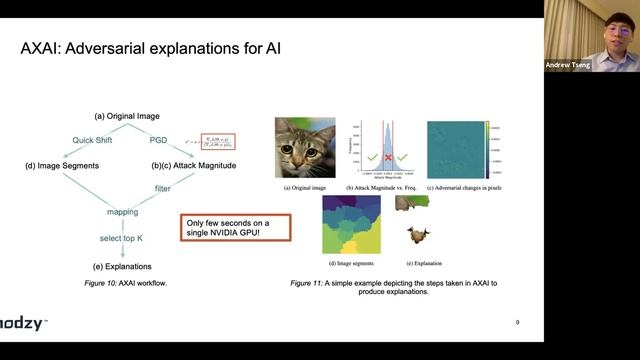 Explain This – Beyond Lime and SHAP: the Fastest Approach to AI Explainability смотреть онлайн