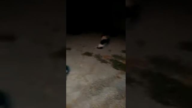 выводим дымоход в стене смотреть онлайн