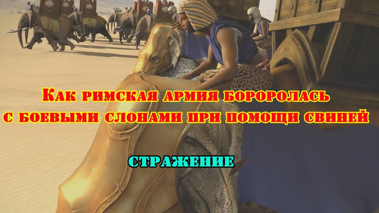 ✞ Использование животных в Римской армии ✞ Свиньи против Слонов ✞ смотреть онлайн