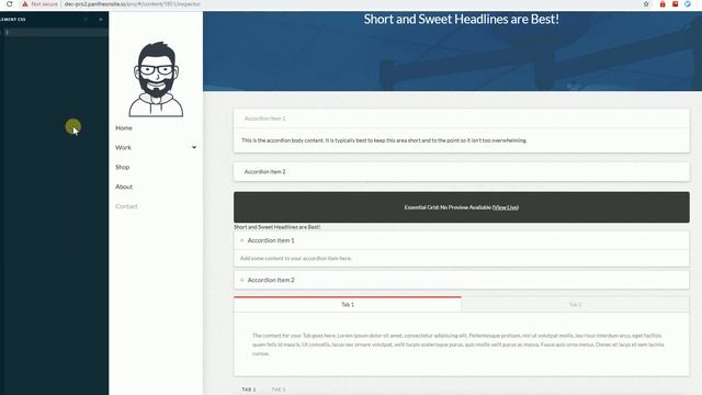 Target Individual Accordion Items in Element CSS - Cornerstone Page Builder смотреть онлайн
