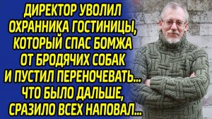 Охранник был шокирован, когда его уволил директор из-за спасенного бездомного, а потом случилось это