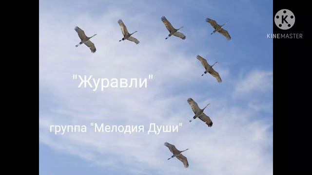 Журавли - Мелодия Души смотреть онлайн