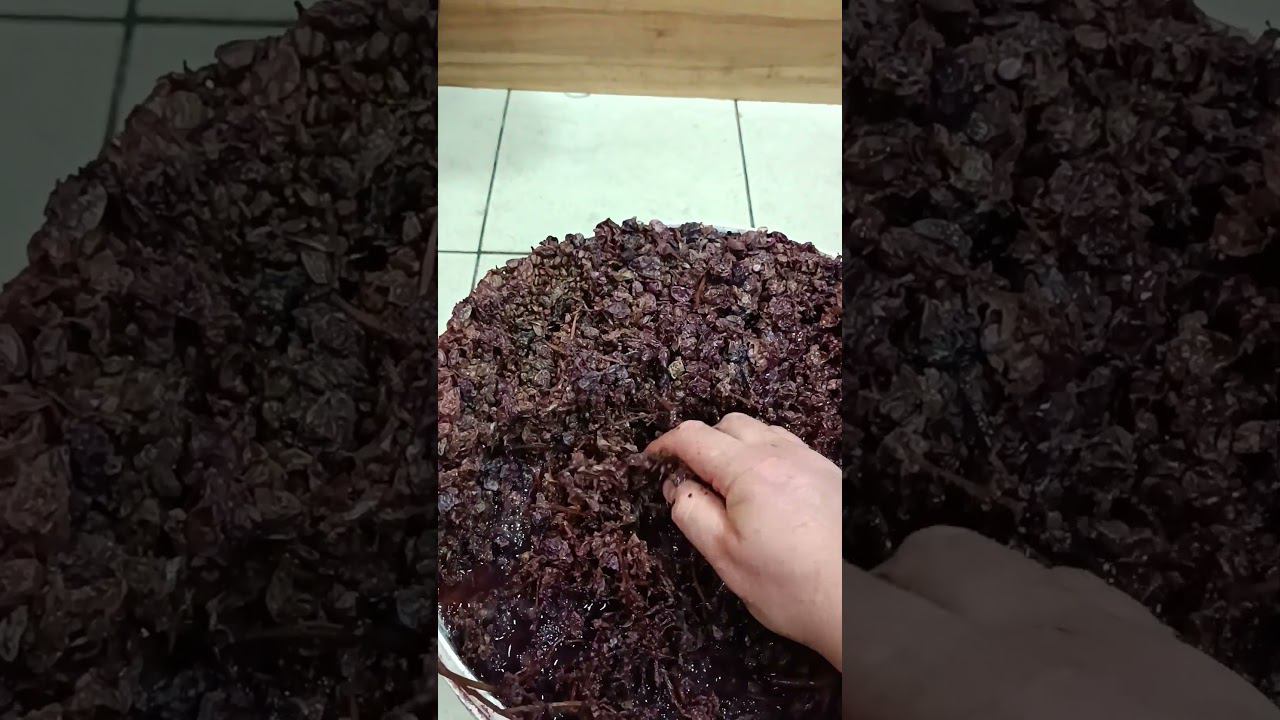 Нужно ли перемешивать шапку фруктовой браги и как часто #shorts #добрыйжар смотреть онлайн