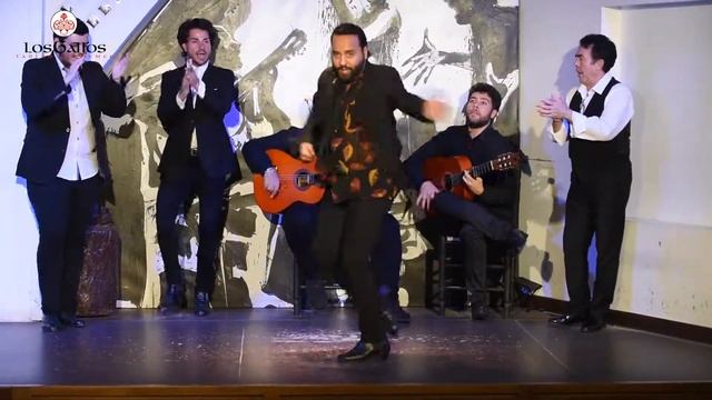 Los Gallos Diciembre 2017 смотреть онлайн