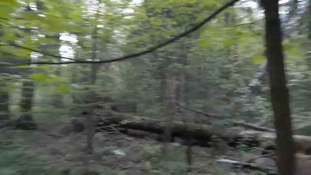 Девушка живёт одна в лесу в палатке. Впечатления девушки после ночёвки в палатке смотреть онлайн
