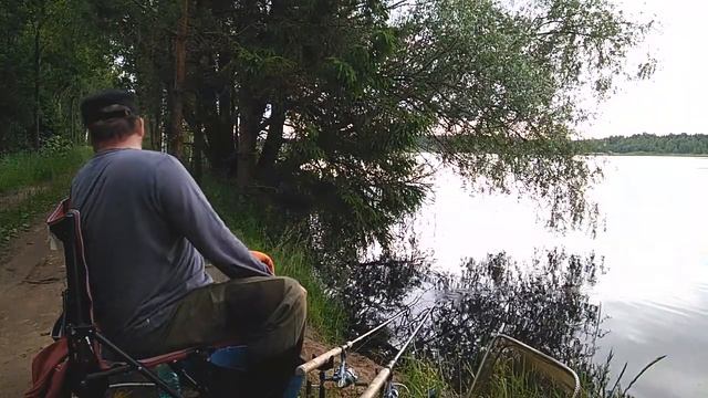 Ловля фидером на платнике.Поселок Квакшино,Тверская область. смотреть онлайн