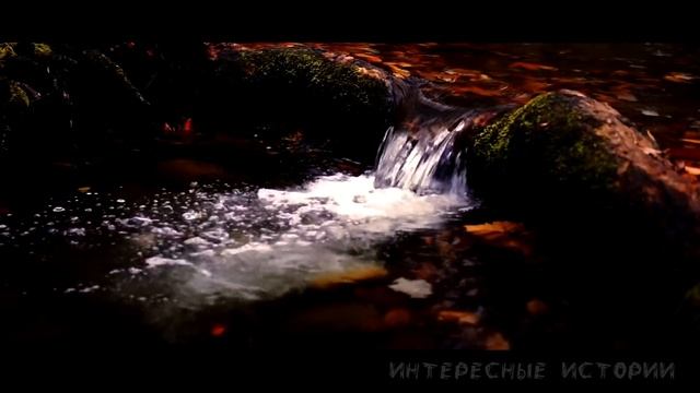 Мама и Сын. Договорились молчать об этом. Измены. Интересные истории. Истории из жизни новые. смотреть онлайн