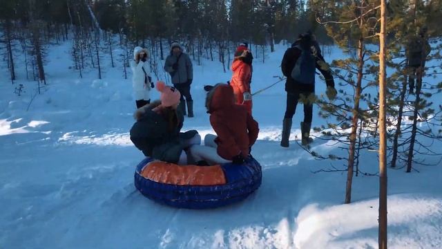 ХАСКИ-ПАРК Ловозеро в Мурманской области: покататься на хаски, погладить оленей в хаски-парке смотреть онлайн