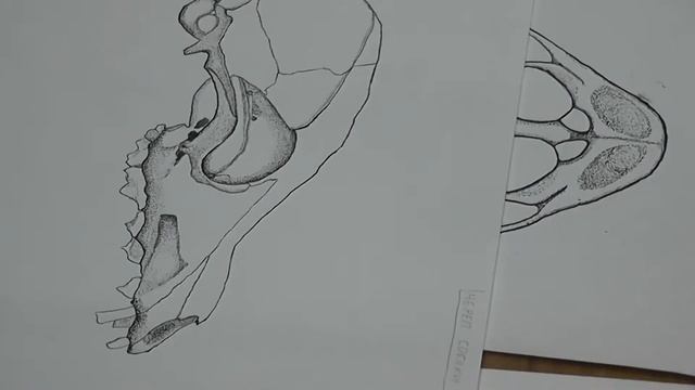 77 Начинаем рисовать тушью смотреть онлайн