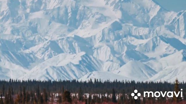 картинки смотреть онлайн